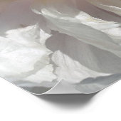 ホワイト牡丹の花の花びらとセンター ポスター (角)