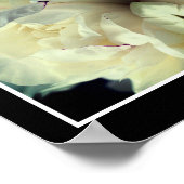 ホワイト牡丹の花の開花クローズアップ抽象芸術 ポスター (角)