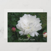 ホワイト牡丹はがき ポストカード (正面/裏面)