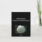 ホワイト牡丹ノートカード シーズンカード (裏面)