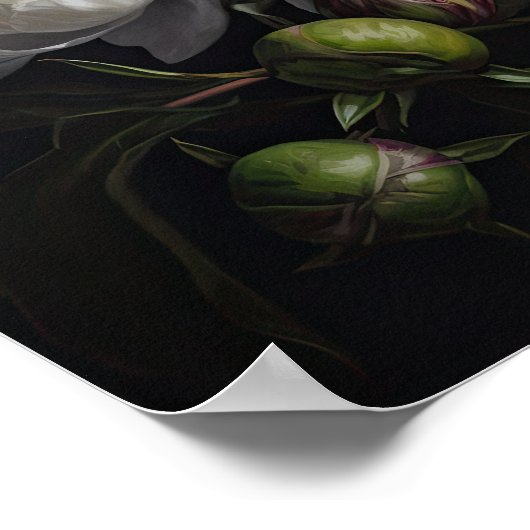 ホワイト牡丹フラワーアートプリントポスター ポスター (角)