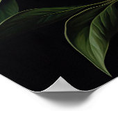 ホワイト牡丹フラワーアートプリントポスター ポスター (角)