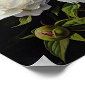 ホワイト牡丹フラワーアートプリントポスター ポスター (角)