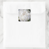 ホワイト牡丹花の写真スクエアステッカー スクエアシール (バッグ)