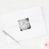 ホワイト牡丹花の写真スクエアステッカー スクエアシール (封筒)