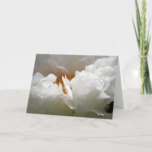 ホワイト牡丹2母の日の花の写真カード シーズンカード (正面)