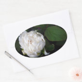 ホワイト牡丹3花の写真オーバルステッカー 楕円形シール (封筒)