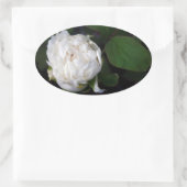 ホワイト牡丹3花の写真オーバルステッカー 楕円形シール (バッグ)