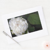 ホワイト牡丹 – 花の写真- 長方形シール (封筒)