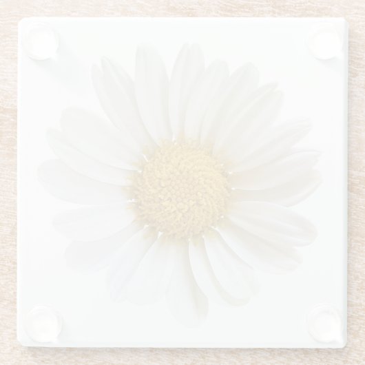 ホワイト独身のデイジーガラスコースター ガラスコースター (裏面)