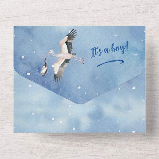 ホワイト男の赤ちゃんオンザウェイストークナイトスカイ招待状 オールインワン招待状 (裏面)