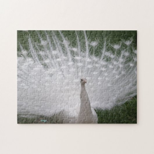 ホワイト疑問に思パズル ジグソーパズル (横)