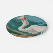 ホワイト素晴らしヘロンバードズオブアメリカオードゥボンプリント ペーパープレート (アングル)