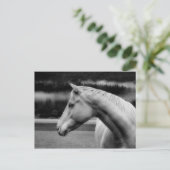 ホワイト美しいのはがき ポストカード (スタンド正面)