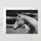 ホワイト美しいのはがき ポストカード (正面/裏面)