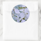 ホワイト美しい ラウンドシール (バッグ)