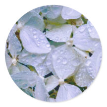 ホワイト美しい