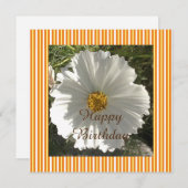 ホワイト花の写真誕生日 (正面/裏面)