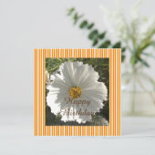 ホワイト花の写真誕生日 (スタンド正面)