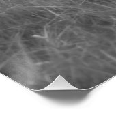 ホワイト転がホースのウマ科のB&W写真 ポスター (コーナー)