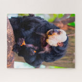 ホワイト顔サキモンキー。ジグソーパズル ジグソーパズル (横)