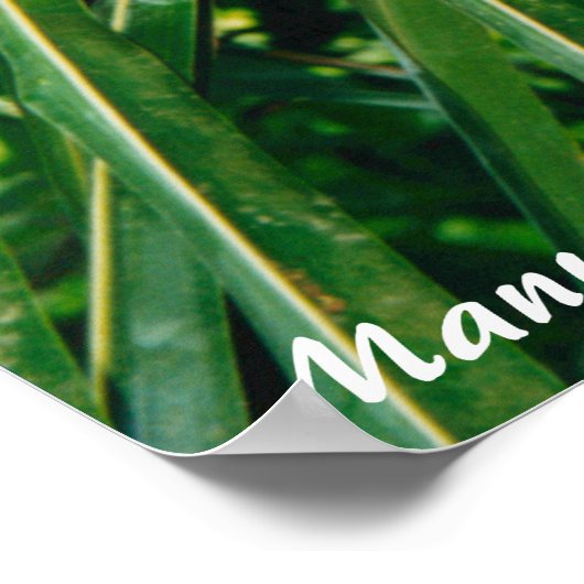 ホワイト顔モンキーコスタリカ ポスター (角)