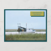 ホワイト魚釣りボート海サバンナグルジア ポストカード (正面)