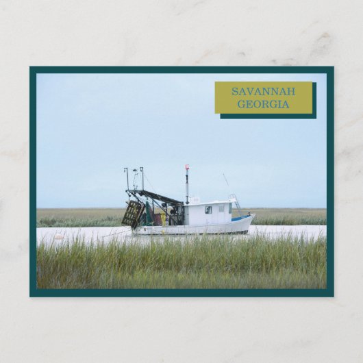 ホワイト魚釣りボート海サバンナグルジア ポストカード (正面)