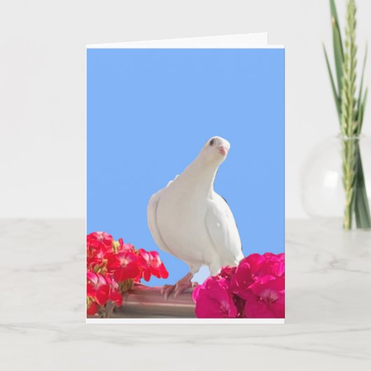 ホワイト鳩の編集可能カード カード (正面)