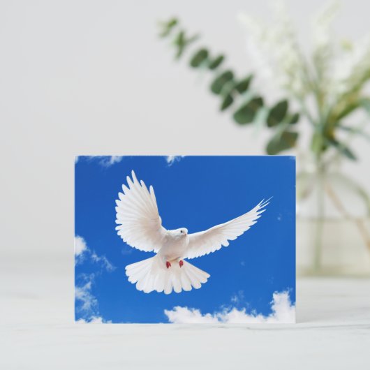 ホワイト鳩 ポストカード (スタンド正面)
