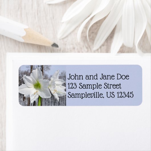 ホワイト・アマリリス・アンド・スノーII ラベル (インサイチュ)