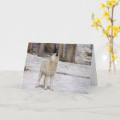 ホワイト·ウルフ·ハウリング·ノテカ空白のード カード (黄色い花)