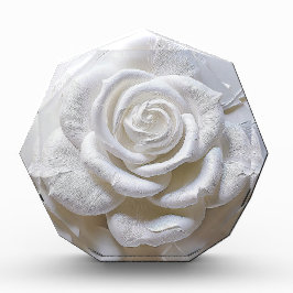ホワイト・オン・ホワイト 彫刻バラ フォトブロック
