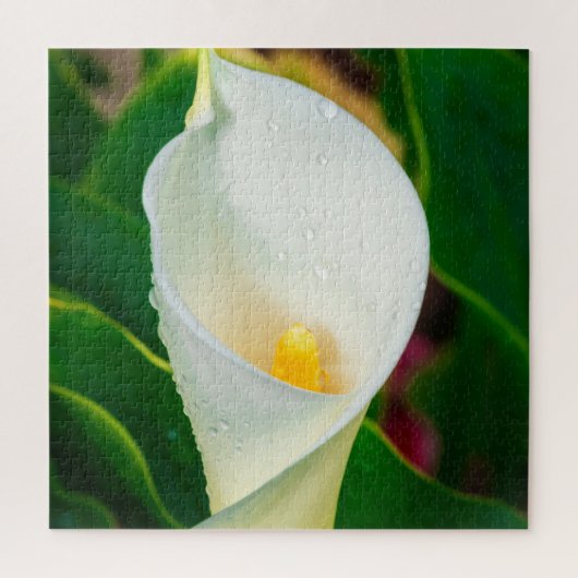 ホワイト カラーリリー マクロ植物写真 自然アート ジグソーパズル (縦)