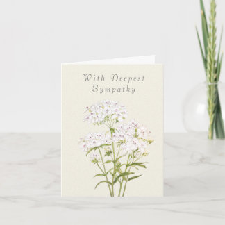 ホワイト・スウィート考え・ウィリアムの同情カード カード