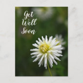 ホワイト ダリア フラワー 早期回復願う ポストカード (正面)