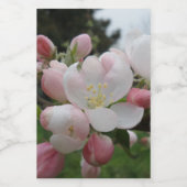 ホワイト/ピンク花食品容器ラベル フードラベル (シングルラベル)