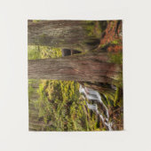 ホワイト・ブランチ秋、オレゴン・カスケード、オレゴン タペストリー (正面)