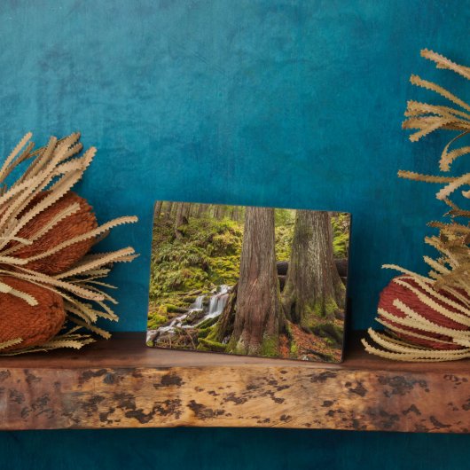 ホワイト・ブランチ秋、オレゴン・カスケード、オレゴン フォトプラーク (側面)