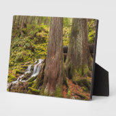 ホワイト・ブランチ秋、オレゴン・カスケード、オレゴン フォトプラーク (側面)