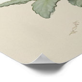 ホワイト・プリムローズ・フラワーズアートプリントポスター ポスター (角)