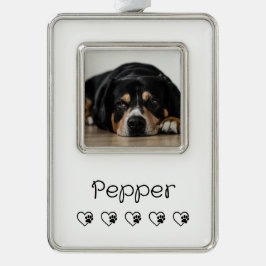 ホワイト ペット フォト オーナメント - ホリデー フレーム