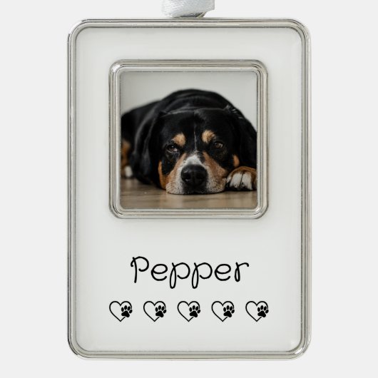 ホワイト ペット フォト オーナメント - ホリデー フレーム (正面)