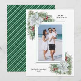 ホワイト・ポインセチア・アンド・パインズのクリスマス写真 シーズンカード