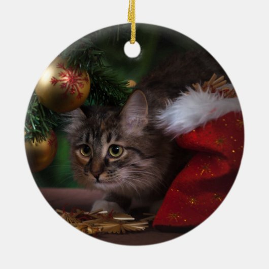 ホワイト・ポープリントバラ金ゴールド猫の写真(Name Year) セラミックオーナメント (裏面)