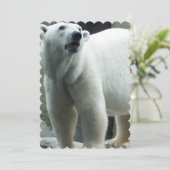 ホワイト·ポーラー·ベア 招待状 (スタンド正面)