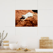 ホワイト・メルカト・ストレッチング，ポスター ポスター (キッチン)