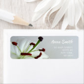 ホワイト・リリー。花。 ラベル (インサイチュ)