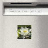 ホワイト《植物》スイレンとバドフローラ マグネット (インサイチュ (食洗機))