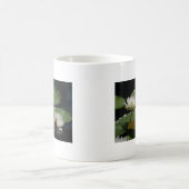 ホワイト《植物》スイレンマグ コーヒーマグカップ (中央)